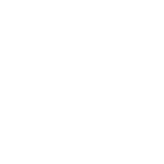 Chic Republic